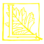 Letterpress Bright Yellow 225g