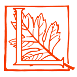 Letterpress Warm Scarlet 225g