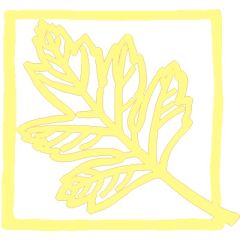 Stay Open Opaque Lemon Yellow 225g