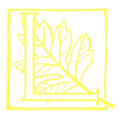 Letterpress Bright Lemon Yellow 225g
